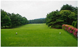HOLE1コース写真