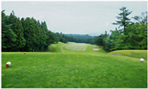 HOLE4コース写真