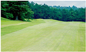 HOLE4コース写真2