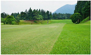 HOLE5コース写真2