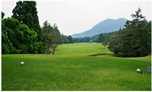 HOLE8コース写真