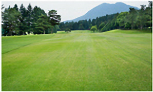 HOLE8コース写真2