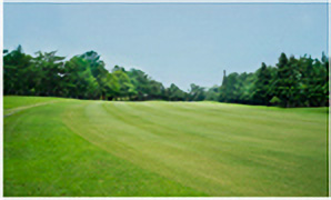 HOLE9コース写真2