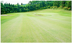 HOLE10コース写真2