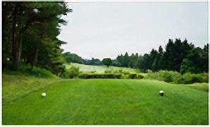 HOLE11コース写真