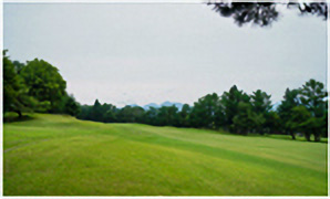 HOLE11コース写真2