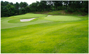 HOLE12コース写真2
