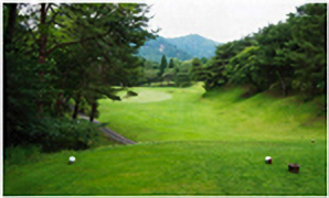 HOLE13コース写真