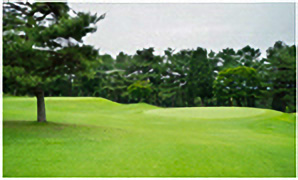 HOLE14コース写真2