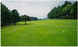 HOLE15コース写真