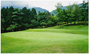 HOLE15コース写真2